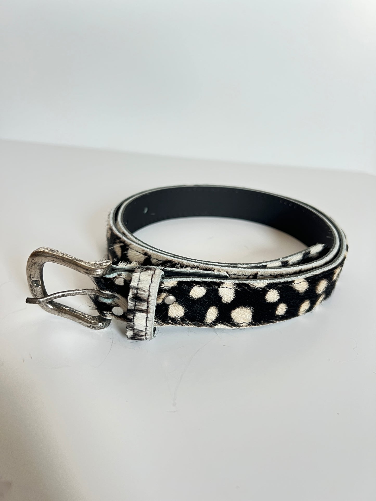 Ceinture Bovin Poils Naturels Noirs Tachetés blancs