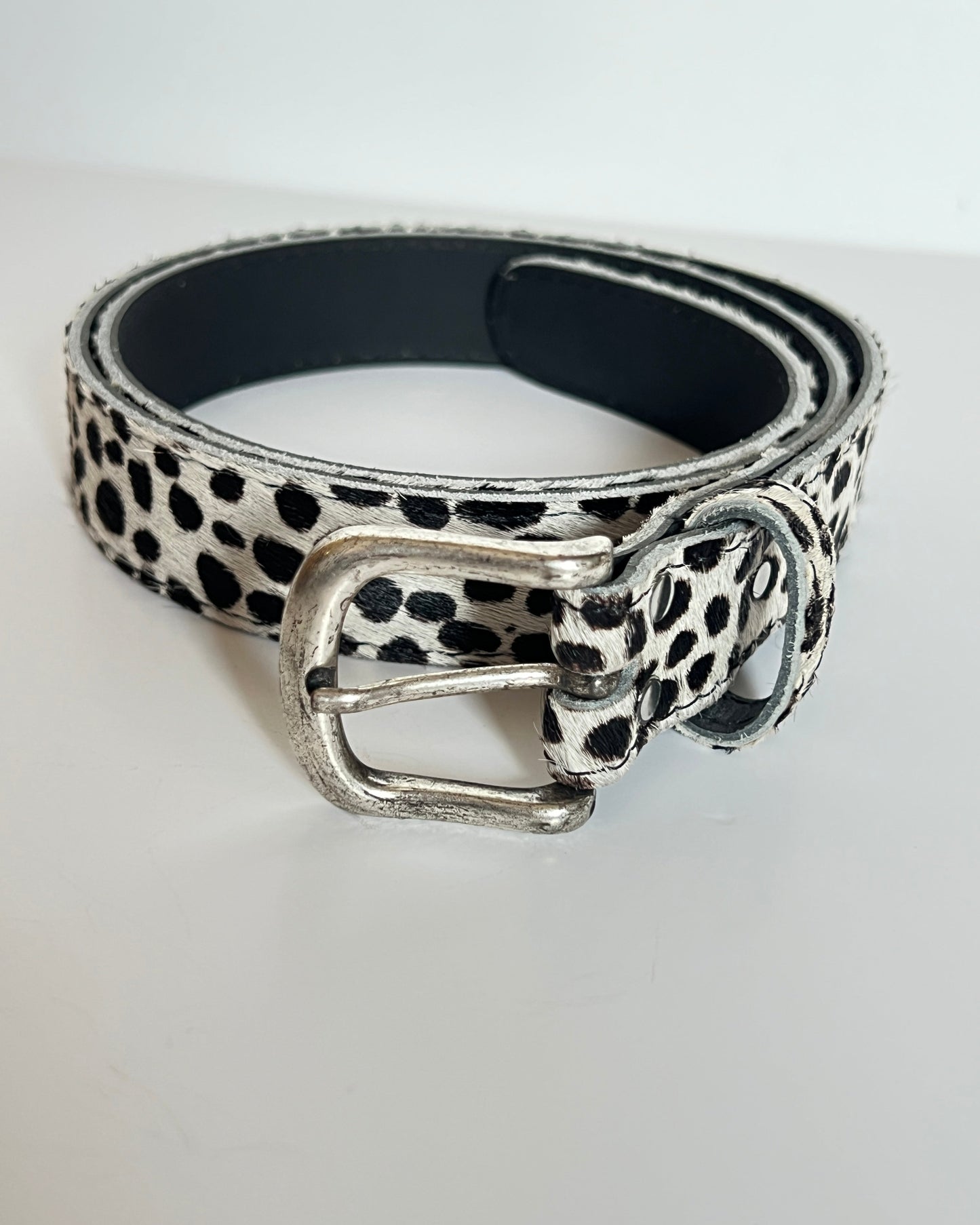 Ceinture Bovin Poils Naturels Blancs Tachetés Noirs