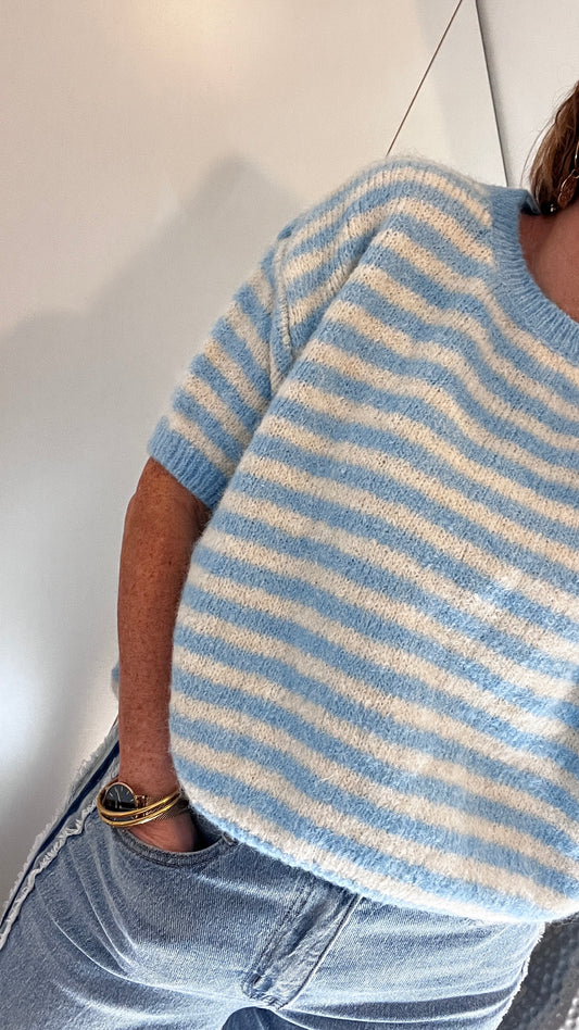 Pull | ELISA bleu